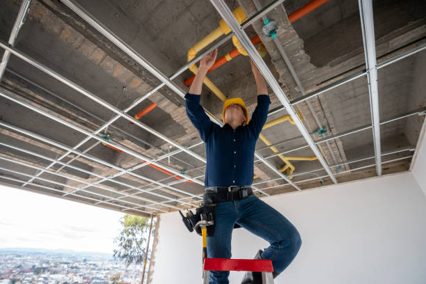 Best Sprinkler Systems  in Brambleton, VA